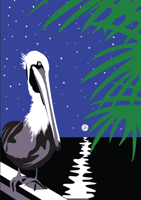 pelican